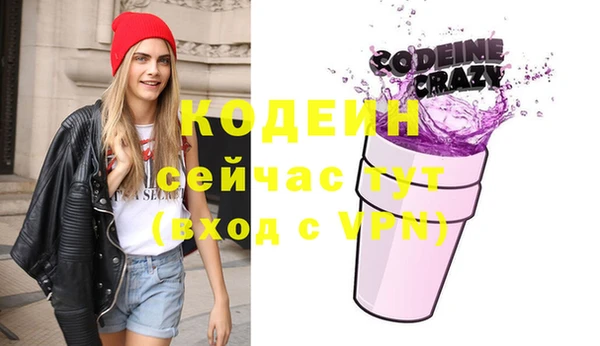ECSTASY Тайга