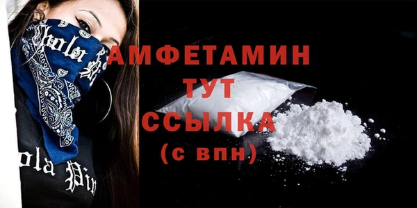 прущие грибы Верхний Тагил