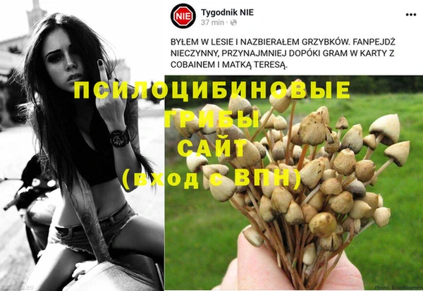 бошки Богданович