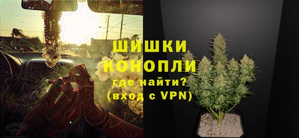 прущие грибы Верхний Тагил