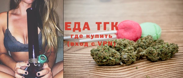 прущие грибы Верхний Тагил
